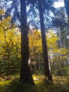 9d8c889d-62c5-4b38-9978-b6e2638c4fe0